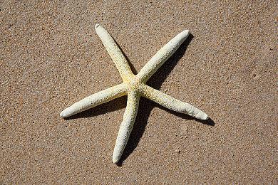 《真女神转生5》恶魔投票企划第一弹 将出票数最多壁纸